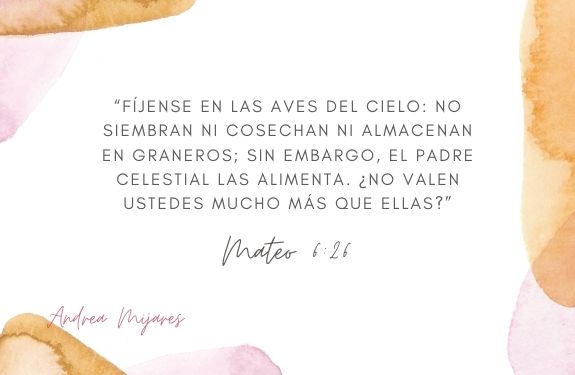 Mateo 6 26